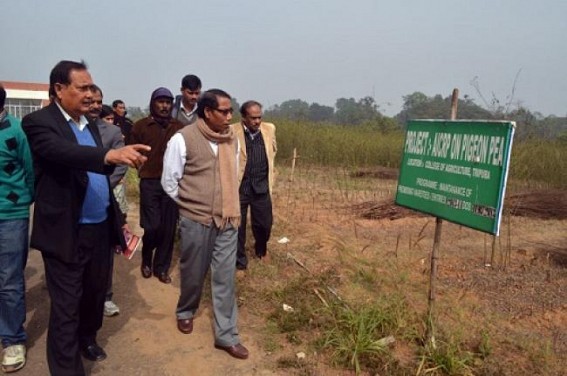 Agriculture department under scanner: After the massive financial corruption of Kumarghat Horticulture Technology Mission: Govt. takes no steps Agriculture department under scanner: After the massive financial corruption of Kumarghat Horticulture Technology Mission: Govt. takes no steps